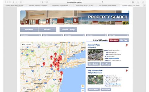 The Goldstein Group Listings Page Sample